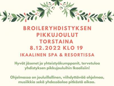 Pikkujoulut.JPG